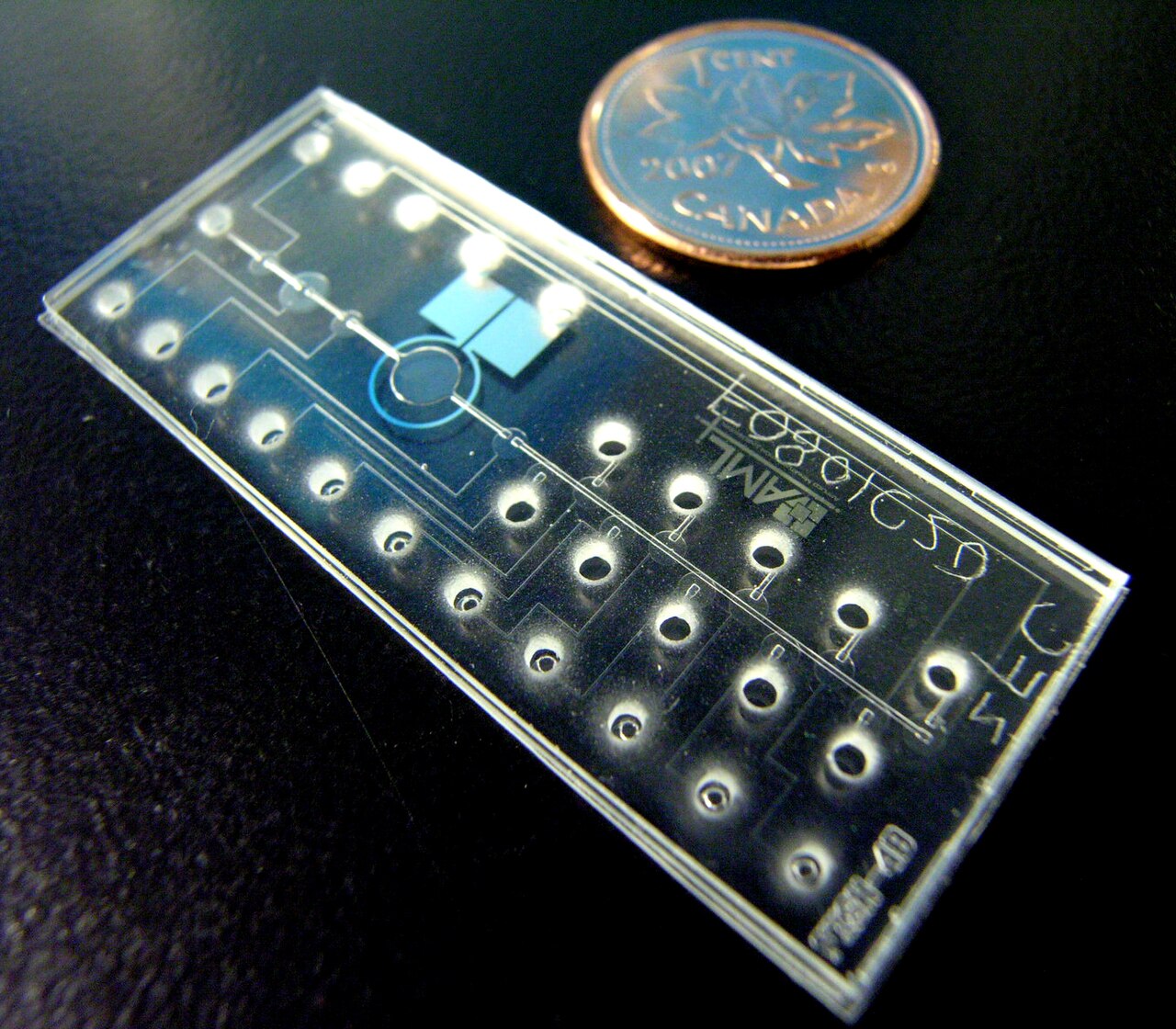 Method 5: Tamayo's Experimental Drugs and Medical Techniques