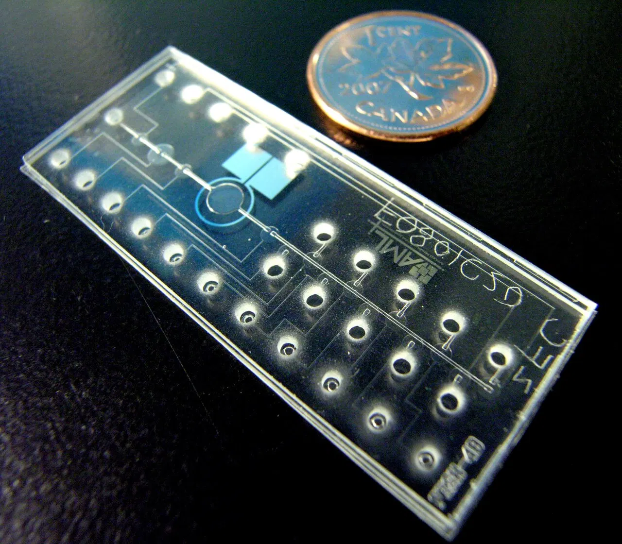 Method 5: Tamayo's Experimental Drugs and Medical Techniques